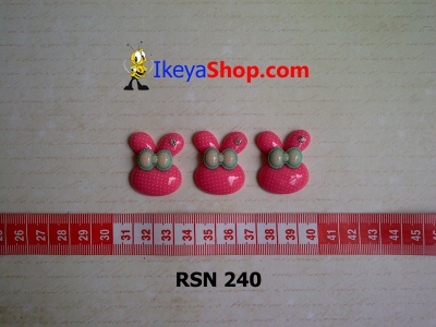 rsn 240  large2